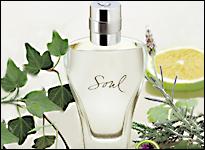 Parfum pour Homme